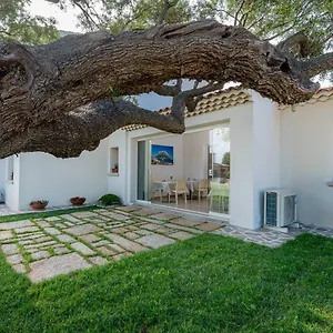 Residenza L'alzoni Affittacamere